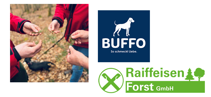 Grafik mit dem Thema Nachhaltigkeit, symbolisch dargestellt durch grüne Elemente und umweltfreundliche Icons.