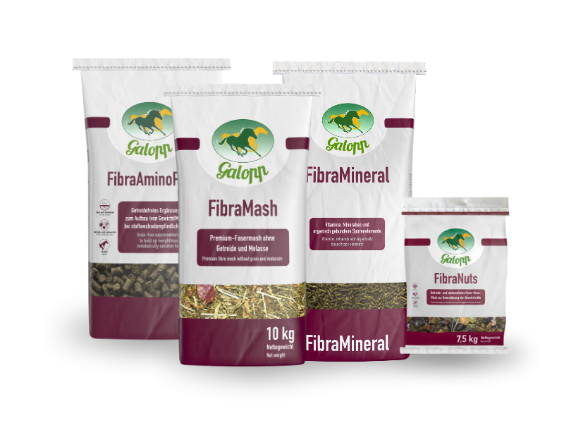 GALOPP Pferdefutter Fibra