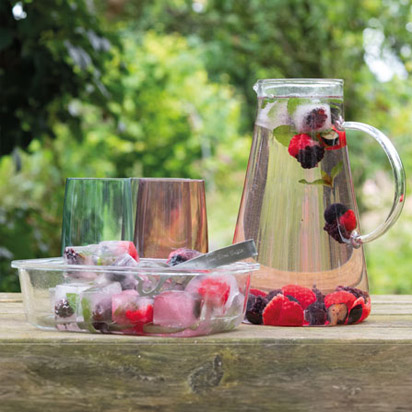 landflair-einstieg-basteltipps-eiswuerfel-mit-geschmack_412x412